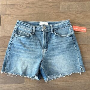 Blue Frayed Hem Denim Shorts, NWT, L, High Rise